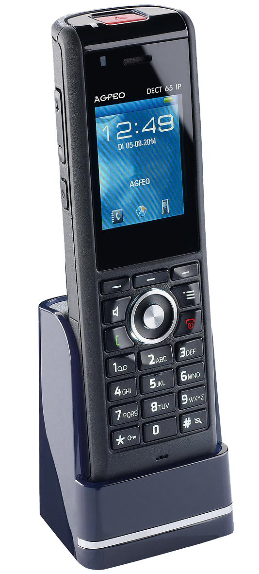 DECT 65 IP